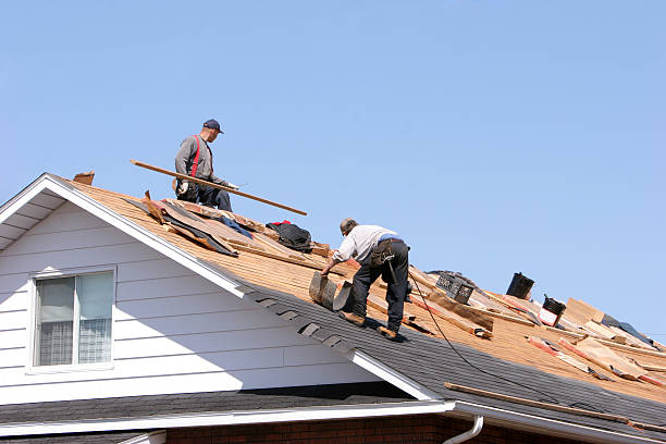 Best Roof Moss and Algae Removal  in Alma, AR
